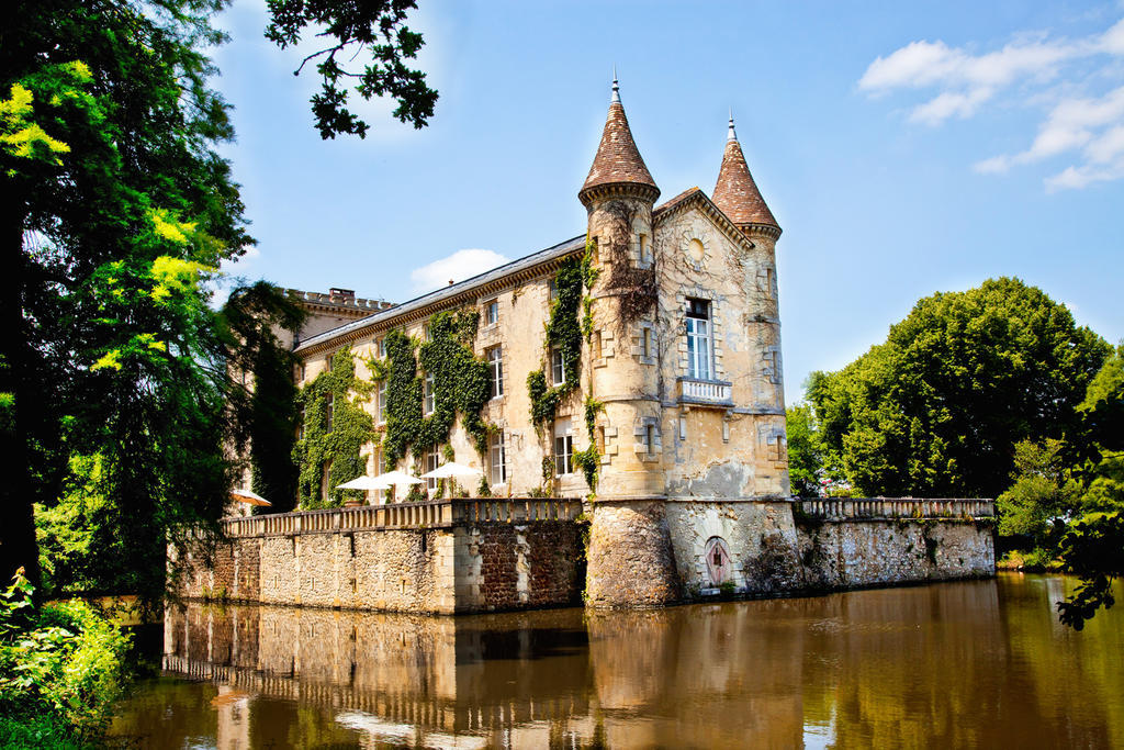 Chateau Lamothe Du Prince Noir - B&B Saint-Sulpice-et-Cameyrac Kültér fotó